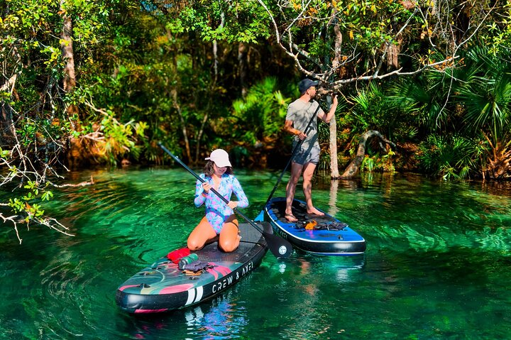 Experience paddle boarding on crystal-clear waters surrounded by lush greenery playful fish and curious turtles. Enjoy serene moments in this natural wonderland. Perfect for all skill levels.